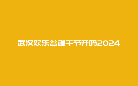 武汉欢乐谷端午节开吗2024