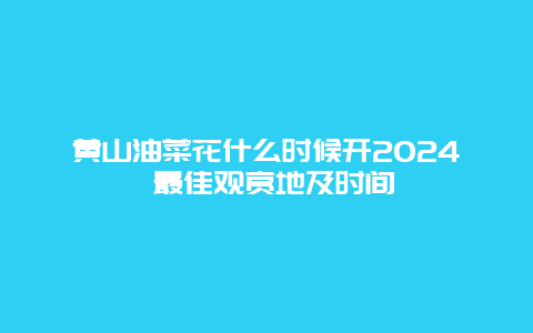 黄山油菜花什么时候开2024 最佳观赏地及时间