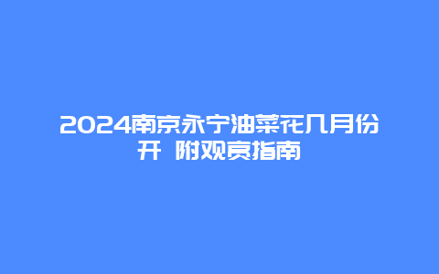 2024南京永宁油菜花几月份开 附观赏指南