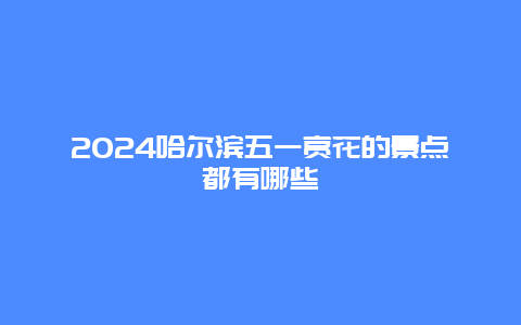 2024哈尔滨五一赏花的景点都有哪些