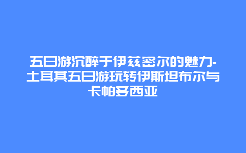 五日游沉醉于伊兹密尔的魅力-土耳其五日游玩转伊斯坦布尔与卡帕多西亚