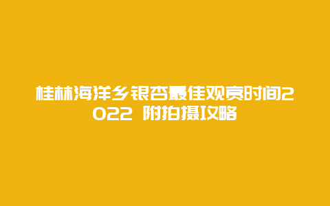 桂林海洋乡银杏最佳观赏时间2022 附拍摄攻略