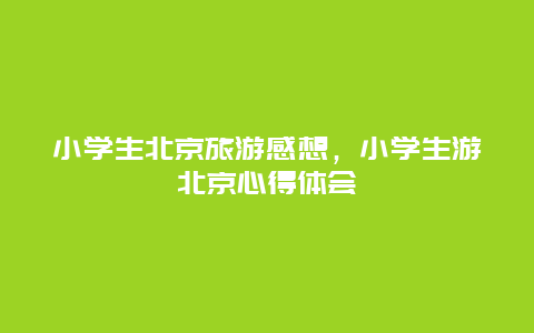 小学生北京旅游感想，小学生游北京心得体会