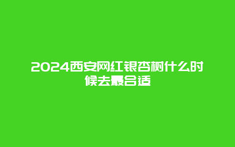 2024西安网红银杏树什么时候去最合适