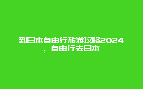 到日本自由行旅游攻略2024，自由行去日本