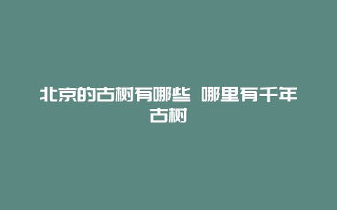 北京的古树有哪些 哪里有千年古树