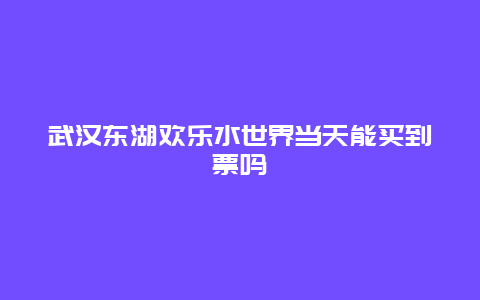 武汉东湖欢乐水世界当天能买到票吗