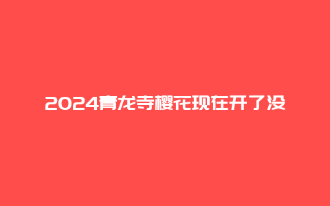 2024青龙寺樱花现在开了没