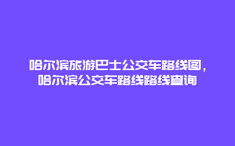 哈尔滨旅游巴士公交车路线图，哈尔滨公交车路线路线查询