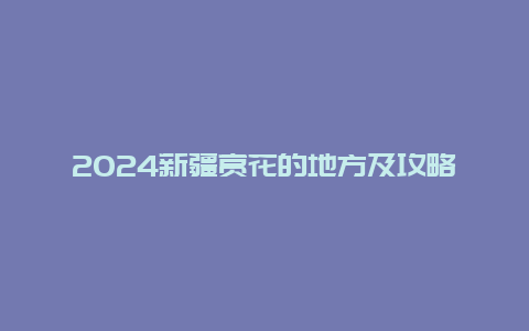 2024新疆赏花的地方及攻略