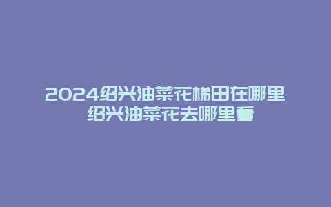 2024绍兴油菜花梯田在哪里 绍兴油菜花去哪里看