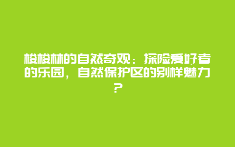 梭梭林的自然奇观：探险爱好者的乐园，自然保护区的别样魅力？