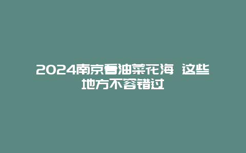 2024南京看油菜花海 这些地方不容错过