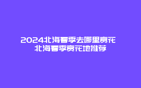 2024北海春季去哪里赏花 北海春季赏花地推荐