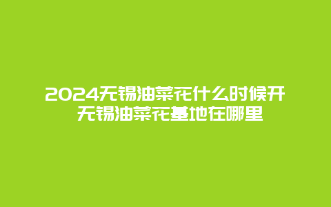 2024无锡油菜花什么时候开 无锡油菜花基地在哪里