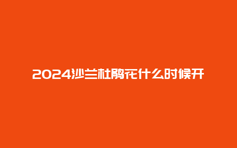 2024沙兰杜鹃花什么时候开