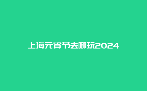 上海元宵节去哪玩2024