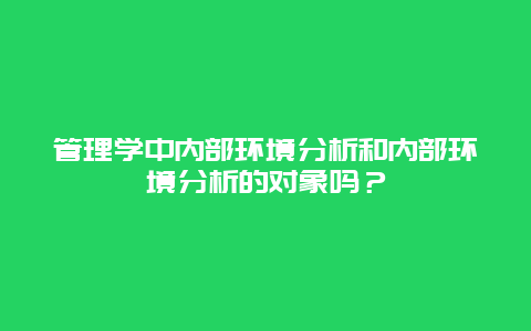 管理学中内部环境分析和内部环境分析的对象吗？