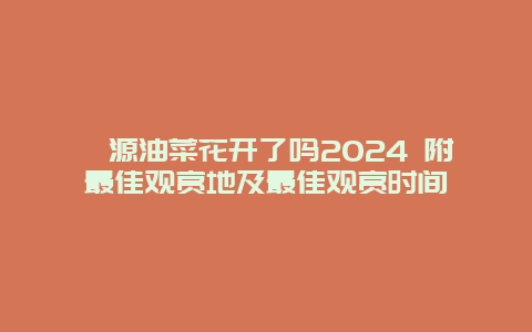 婺源油菜花开了吗2024 附最佳观赏地及最佳观赏时间