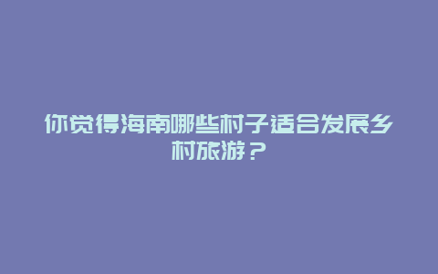 你觉得海南哪些村子适合发展乡村旅游？