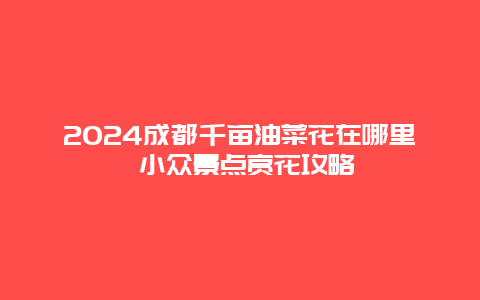 2024成都千亩油菜花在哪里 小众景点赏花攻略