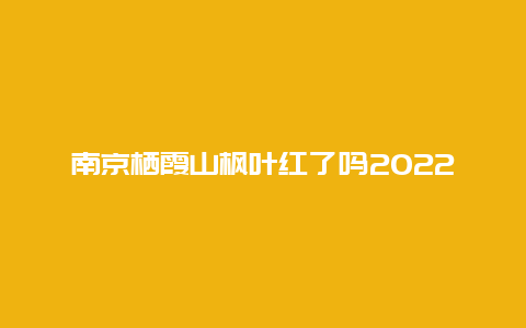 南京栖霞山枫叶红了吗2022