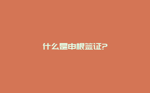 什么是申根签证?