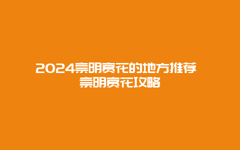 2024崇明赏花的地方推荐 崇明赏花攻略