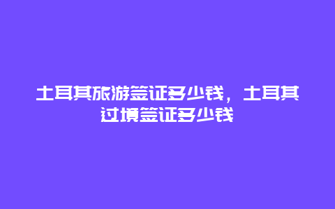 土耳其旅游签证多少钱，土耳其过境签证多少钱