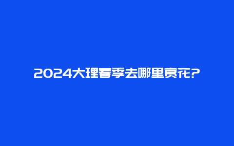 2024大理春季去哪里赏花?