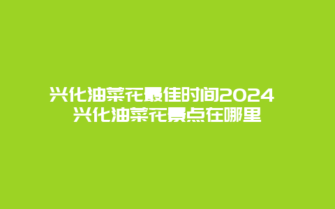 兴化油菜花最佳时间2024 兴化油菜花景点在哪里