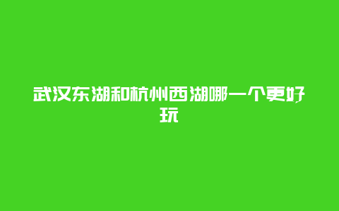 武汉东湖和杭州西湖哪一个更好玩