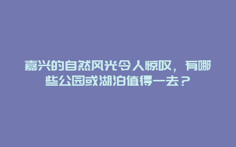 嘉兴的自然风光令人惊叹，有哪些公园或湖泊值得一去？