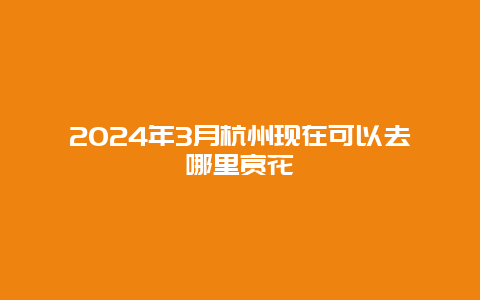 2024年3月杭州现在可以去哪里赏花