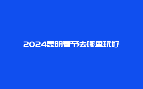 2024昆明春节去哪里玩好