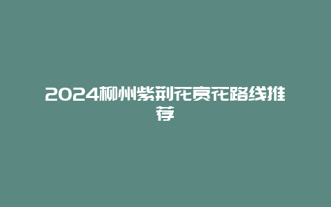 2024柳州紫荆花赏花路线推荐