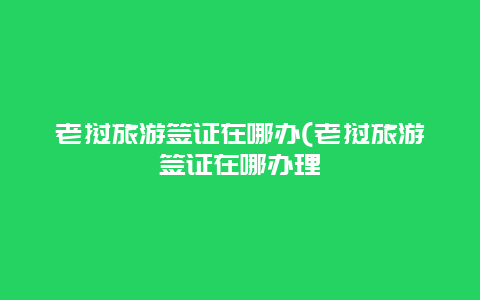 老挝旅游签证在哪办(老挝旅游签证在哪办理