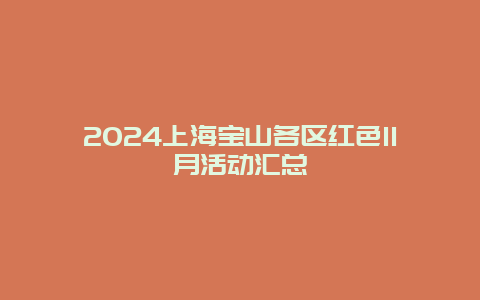 2024上海宝山各区红色11月活动汇总