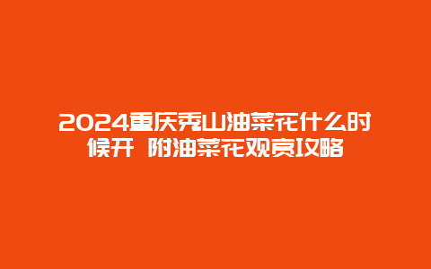 2024重庆秀山油菜花什么时候开 附油菜花观赏攻略