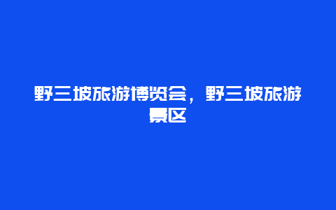 野三坡旅游博览会，野三坡旅游景区