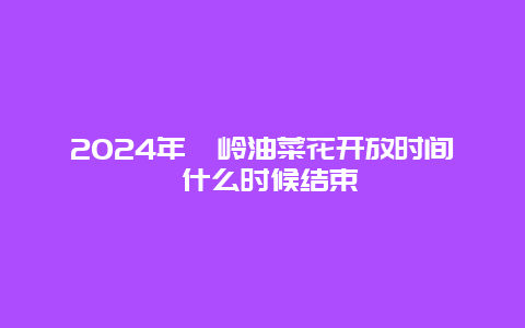 2024年篁岭油菜花开放时间 什么时候结束