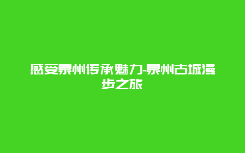 感受泉州传承魅力-泉州古城漫步之旅