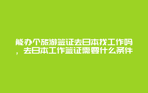 能办个旅游签证去日本找工作吗，去日本工作签证需要什么条件