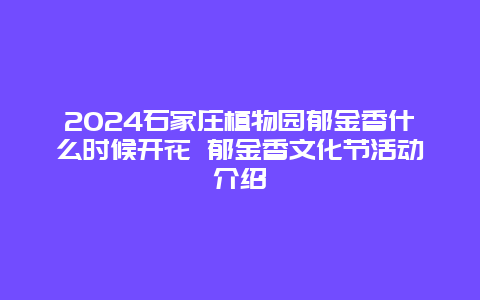 2024石家庄植物园郁金香什么时候开花 郁金香文化节活动介绍