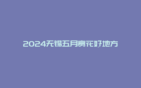 2024无锡五月赏花好地方