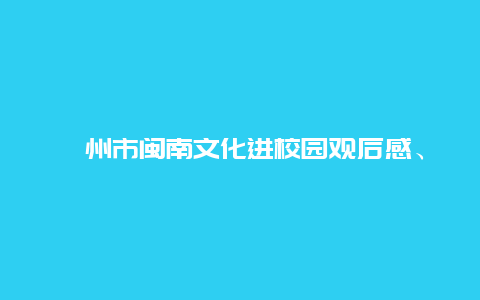 漳州市闽南文化进校园观后感、