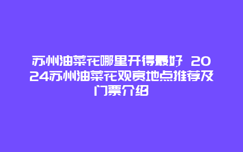 苏州油菜花哪里开得最好 2024苏州油菜花观赏地点推荐及门票介绍