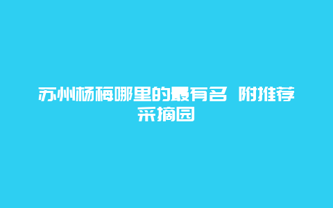 苏州杨梅哪里的最有名 附推荐采摘园