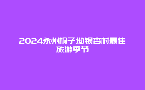 2024永州桐子坳银杏村最佳旅游季节