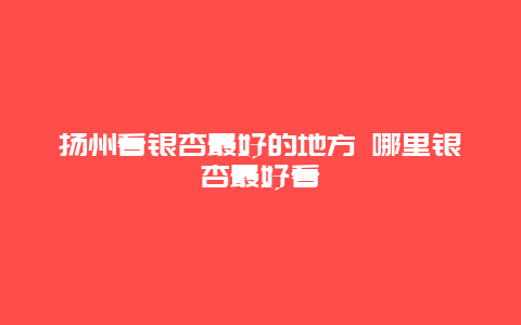 扬州看银杏最好的地方 哪里银杏最好看